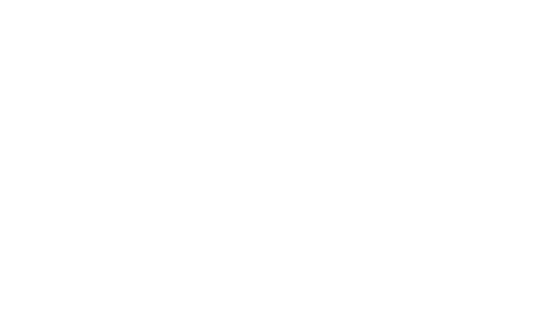 SurMonX